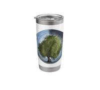 Just Really Like Weeping Willow Trees Stainless Steel Insulated Tumbler