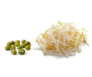 Just Seed - Organic Vegetable - Sprouting Seed Mung Bean - 150g - Large Pack