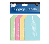 Just Stationery 135x75mm Luggage Label (Pack of 30) 4256