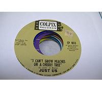 JUST US 45 RPM I Can't Grow Peaches On A Cherry Tree / I Can Save You