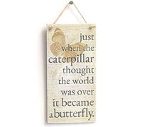 'Just When The Caterpillar Thought The World was Over It Became A Butterfly' Motivational Sign - Handmade Shabby Chic Wooden Door Sign/Plaque