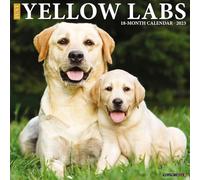 Just Yellow Labs 2023 Wall Calendar