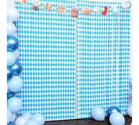 Justforjoyful 2 Pack Oktoberfest Party Foil Fringe Curtain Oktoberfest Party Supplies Blue and White Checkered Photo Booth Props Backdrop Streamers for Beer Festival Celebrations Room Decor 3.3x6.6ft