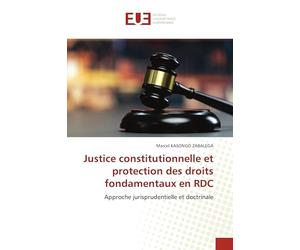 Justice constitutionnelle et protection des droits fondamentaux en RDC: Approche jurisprudentielle et doctrinale