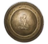 Wonder Woman Shield DC Comics Superhero Fancy Dress Costume Accessory