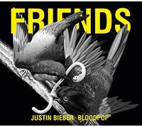 Justin & Bieber Bloodpop - Friends