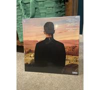 Everything I Thought It Was [VINYL]