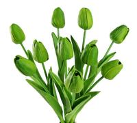 JUSTOYOU 10pcs Real Touch Latex Artificial Tulips Green Flowers Fake Tulips Flowers Wedding Bouquets for Wedding Home Garden Decoration (green, 10PCS)