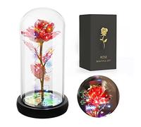 JUSTOYOU Rose Gifts for Women,Mothers,Wife Gifts,Colorful Artificial Rose Flower Gift for Women,Forever in Glass Dome,Rainbow Rose Flower for Birthday,Christmas Mothers Day Decorations(Red)