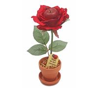 JustPaperRoses - Fruit Anniversary Desk Gift - Red Apple - 4th Year JustDeskRoses in Terra Cotta Pot - Handmade 4th Wedding Gift for Him or Her, Artificial Fruit Rose Decoration