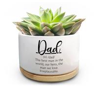 Jutasty Birthday Gifts for Dad from Son Daughter, Succulent Plant Pots for Father Birthday, Unique Flower Planter Gifts for Dad Daddy, Best Dad Ever, New Dad Gifts for Husband Father (No Plants)