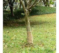 Jute Fabric 0.25 x 5 m 100% Jute 200 g/m² Natural Decorative Fabric for Table Runners Rustic Home Accessories Gift Wrapping Wreaths Garlands and Home Decoration