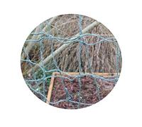 Jute Netting Pea and Bean Biodegradable String Netting By Gardening Naturally (Green, 1.8m x 2.7m)