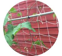 Jute Netting Pea and Bean Biodegradable String Netting (Natural, 2m x 5m Natural)