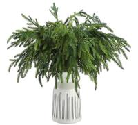 Jutom 12 Pcs Christmas Norfolk Pine Branches, 18 Inch Artificial Christmas Branches DIY Crafts Faux Christmas Norfolk Branches for Xmas Indoor Outdoor Home Decor