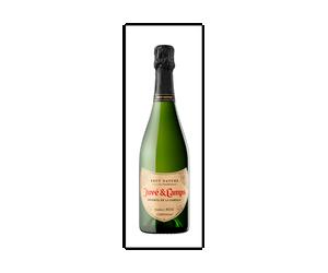 Juvé & Camps Reserva de la Familia 2022