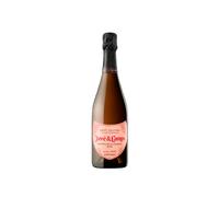 Juvé & Camps Reserva Familia Rosé 2022
