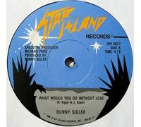 juvenile / what would you do without love