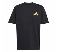 Adidas Juventus Turin Seasonal Graphic Short Sleeve T-shirt Black S Men