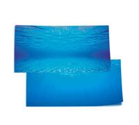 (L, Underwater Shallows/Underwater Sun) Juwel Aquarium Double Sided Poster Background