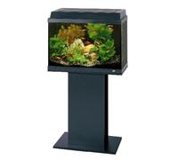 Juwel Primo 60 LED Black Aquarium Stand / Cabinet LED Light Heater Filter
