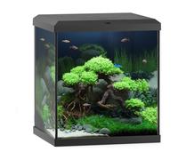 Juwel Vio Cube 54L Aquarium Fish Tank Kit LED BioFlow Filter Heater in Black