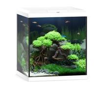 Juwel Vio Cube 54L Aquarium Fish Tank Kit LED BioFlow Filter Heater in White