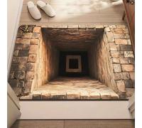 JUXDZISHW Front Door Mat Indoor Outdoor Entrance, 3D Optical Illusion All-Weather Doormat, Optical Illusion Rug Ground Crack Illusion Rug 3D Rugs, Easy Clean Patio Porch Entryway Mat,F,50 * 80cm