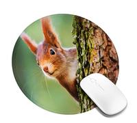 Juxweku Cute Little Red Squirrel Mouse Pad Desk Pad Mouse Mat Non-Slip Rubber Base Mousepad for Computer Pc Office Work