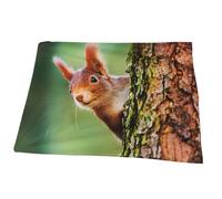 Juxweku Throw Blanket Cute Little Red Squirrel, Soft Throw Blankets for Bed Sofa Couch Bedroom Decorative, 150 x 200 cm