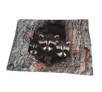 Juxweku Throw Blanket Cute Raccoon Family, Soft Throw Blankets for Bed Sofa Couch Bedroom Decorative, 100 x 125 cm