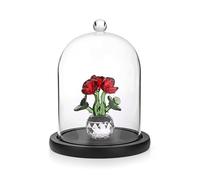 JUXYES Glass Display Dome Cloche with Black Wood Base, Clear Glass Dome Cloche Bell Sphere Jar Snow Globe Kit, Dustproof Snowglobe Cloche Bell Jar Display for Fairy Light Plant Collectible Figure