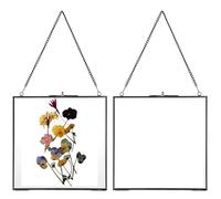 JUXYES Set of 2 Brass Wall Hanging Frame, Glass Floating Frame for Display Pressed Flowers Artwork, Double Glass Floating Style Square Gallery Wall Art