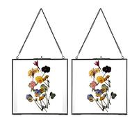 JUXYES Set of 2 Brass Wall Hanging Frame, Glass Floating Frame for Display Pressed Flowers Artwork, Double Glass Floating Style Square Gallery Wall Art