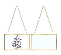 JUXYES Set of 2 Brass Wall Hanging Photo Frame, Glass Hanging Picture Artwork Display Frame, Double Glass Floating Frame Style Gallery Wall Frame for Photo Picture Poster etc