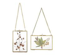JUXYES Set of 2 Brass Wall Hanging Photo Frame, Golden Glass Hanging Picture Artwork Display Frame, Double Glass Floating Frame Style Gallery Wall Frame for Photo Picture Poster etc (4" x 6")