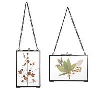 JUXYES Set of 2 Brass Wall Hanging Photo Frame, Golden Glass Hanging Picture Artwork Display Frame, Double Glass Floating Frame Style Gallery Wall Frame for Photo Picture Poster etc