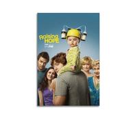 JUYERGWERKJ Raising Hope Posters Aesthetic Wall Art Decorative Poster Decor Vintage Canvas Painting for Living Room Bed Room 20x30inch(50x75cm) Unframe-style
