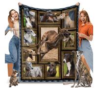 JUZGTSIT Greyhound Dog Blanket, Fleece Throw Blanket for Couch Bed, Soft Cozy Lightweight Warm Flannel Blankets and Throws for Sofa Living Room Decor, 60" x 80" Twin Size
