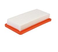JVEIWAD HEPA Filter Compatible With` DS5500 DS6000 DS5600 DS5800 Fine Vacuum Cleaner Parts 6.414-631.0 Hepa Replace(2pcs)