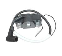 JVEIWAD Ignition Coil Compatible With Wacker Neuson BS700-oi BS65-V BS650 BH22 BH23 BH24 BH55 BH65 5000049598 5000103302 5000154037 5000188216