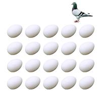 JVHLOV 20x Solid Plastic Dummy Fake Eggs, Dummy Eggs Dove, Simulation Bird Egg Bird Breeding Tool