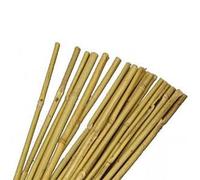 JVL Natural Bamboo Garden Canes, Brown, 183 cm