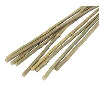 JVL Natural Bamboo Garden Canes, Brown, 244 cm