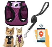JVVGPET Dog Harness with Airtag Holder for Small Dogs, Puppy, Cats - No Pull Step in Small Dog Harness and Reflective Dog Leash Set for Walking Training Travel Grooming Outdoor