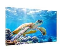 Jvyaeen Turtle Paint by Numbers for Adults 3.9x5.9inch, Painting by Numbers for Adults Beach Pattern, DIY Color Oil Paintings Beginners Kit mit Paintbrushes and Paints for Wall Decor,Model-1360