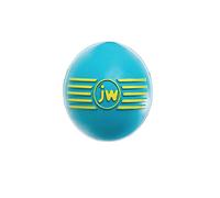 JW iSqueak Ball Dog Toy - Medium - 8cm