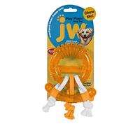 JW Play Place Ring Toy