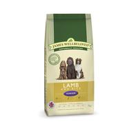 Jwb Adult Dog Senior Lamb & Rice Kibble 2kg