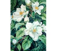 JWPSHIJIE 5D Diamond Paint Kit, Flowers DIY Crystal Embroidery Painting, Full Drill Diamond Cross Stitch Painting, Colorful Paintings Pictures Art Craft for Home